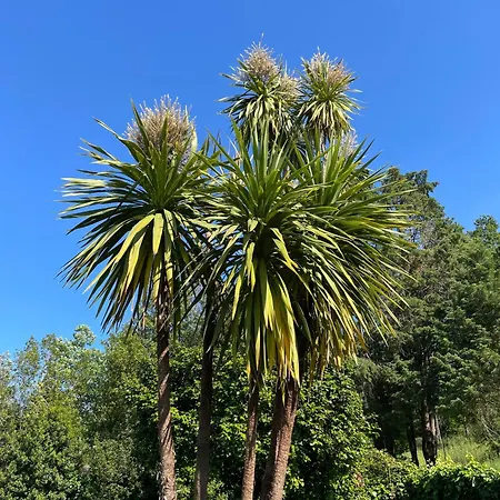 Casa-agave-quinta-da-encavalada-relaxing-holiday-house-with-beautiful-view-and-swimmingpool Σπίτι διακοπών Caldas de São Paulo