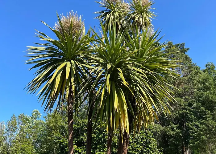 Casa-agave-quinta-da-encavalada-relaxing-holiday-house-with-beautiful-view-and-swimmingpool Casa de Férias Caldas de Sao Paulo